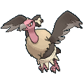 images.png