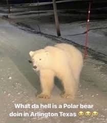 images.png