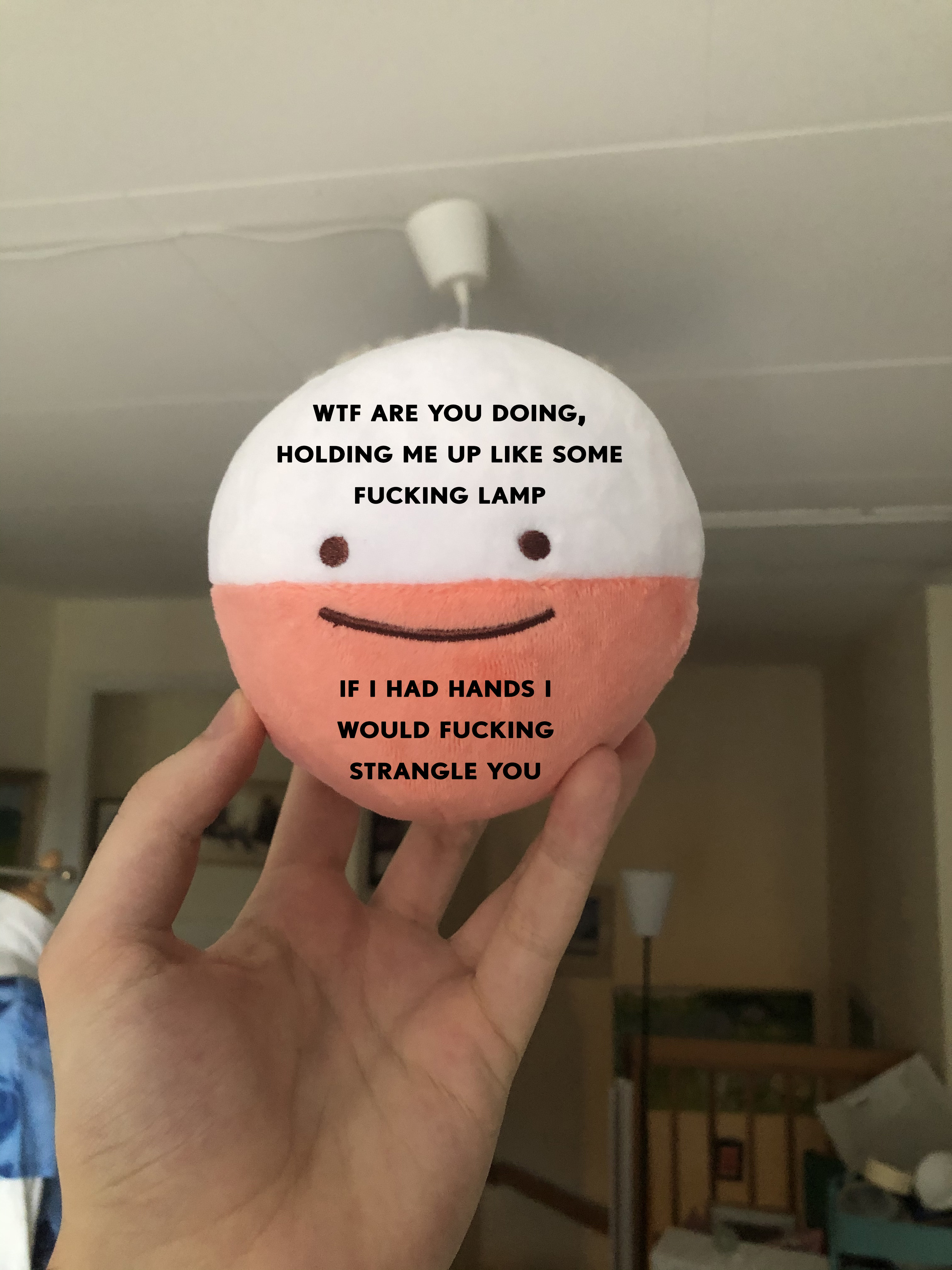 IMG_0099.jpeg