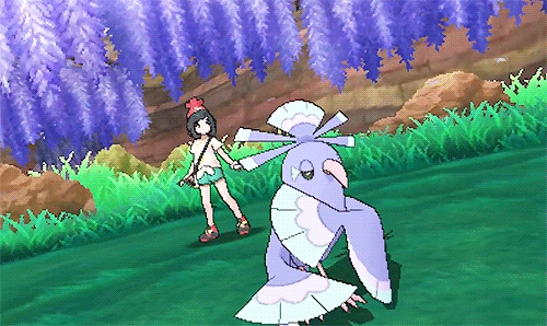 IMG_0683.gif