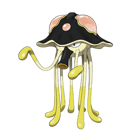 IMG_0795.png