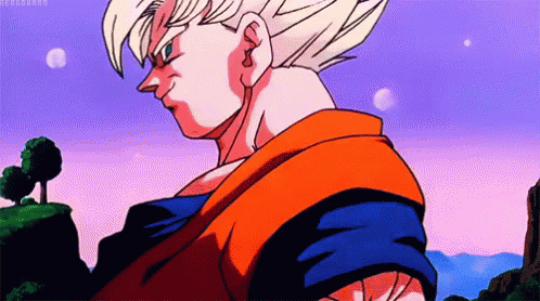 IMG_1216.gif