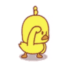 IMG_1432.gif