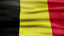 IMG_1772.gif