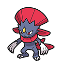 IMG_1910.png