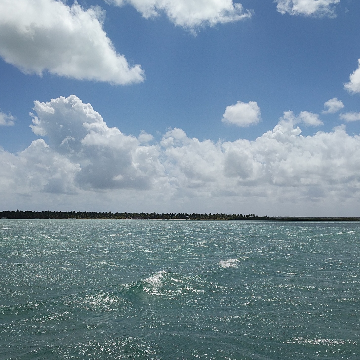 IMG_20190227_113656_009.jpg