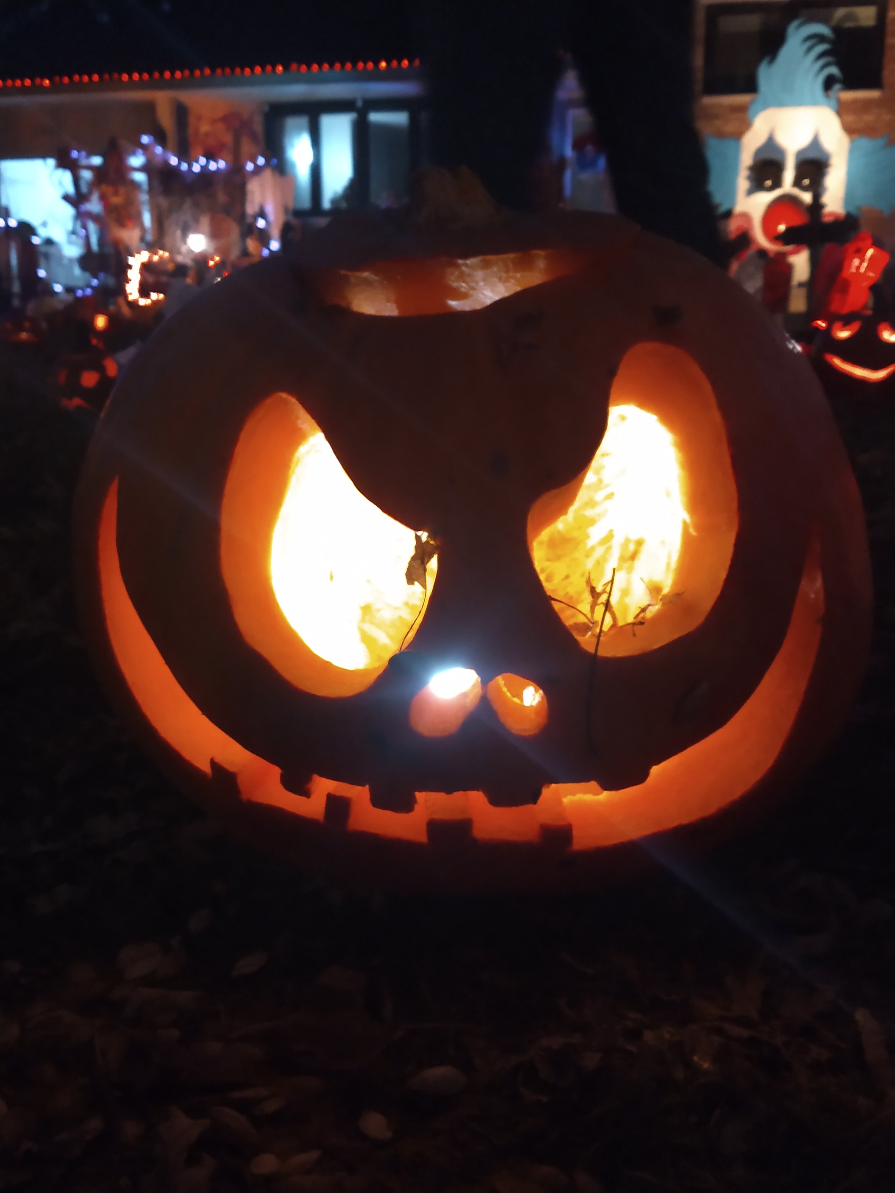 IMG_20241028_190525732.jpg