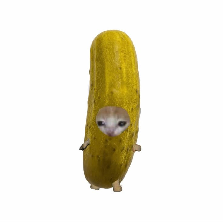 IMG_2045.png
