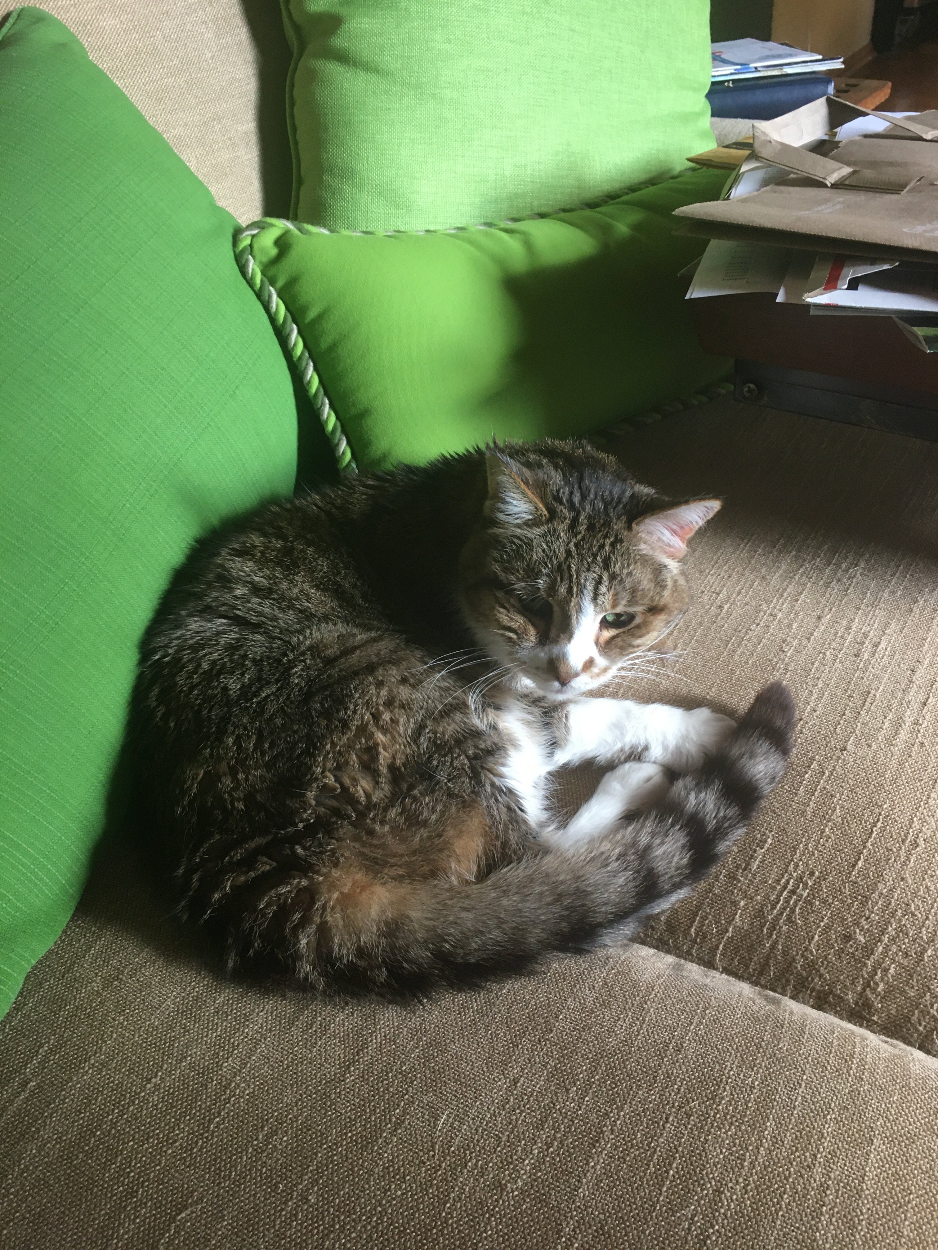 IMG_2102.jpeg