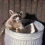 IMG_2119.jpeg