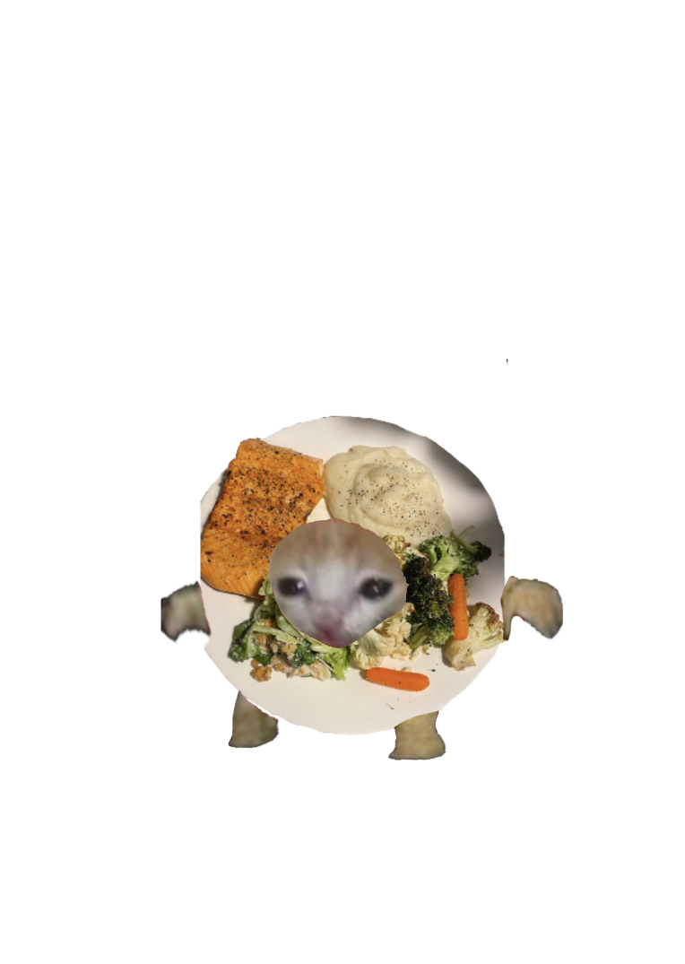 IMG_2120.png