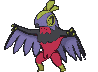 IMG_2312.gif