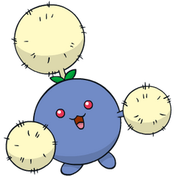 IMG_2426.png