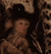 IMG_3037.gif