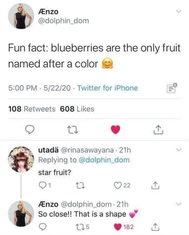 IMG_3385.jpeg