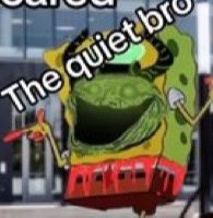 IMG_3397.jpeg