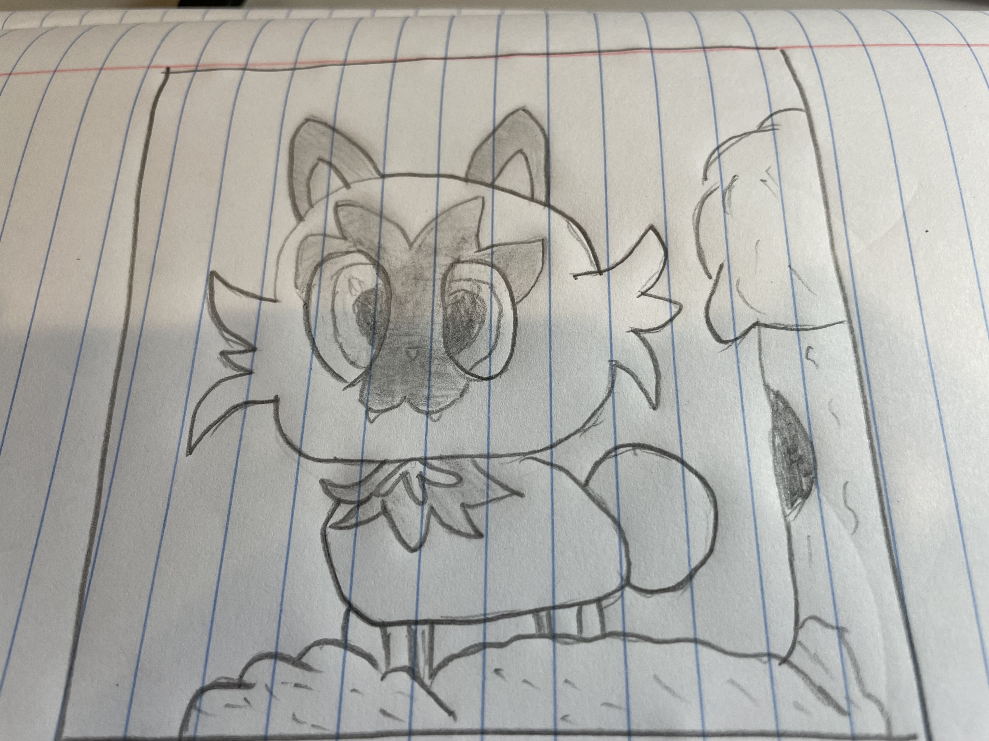 IMG_3517.jpeg