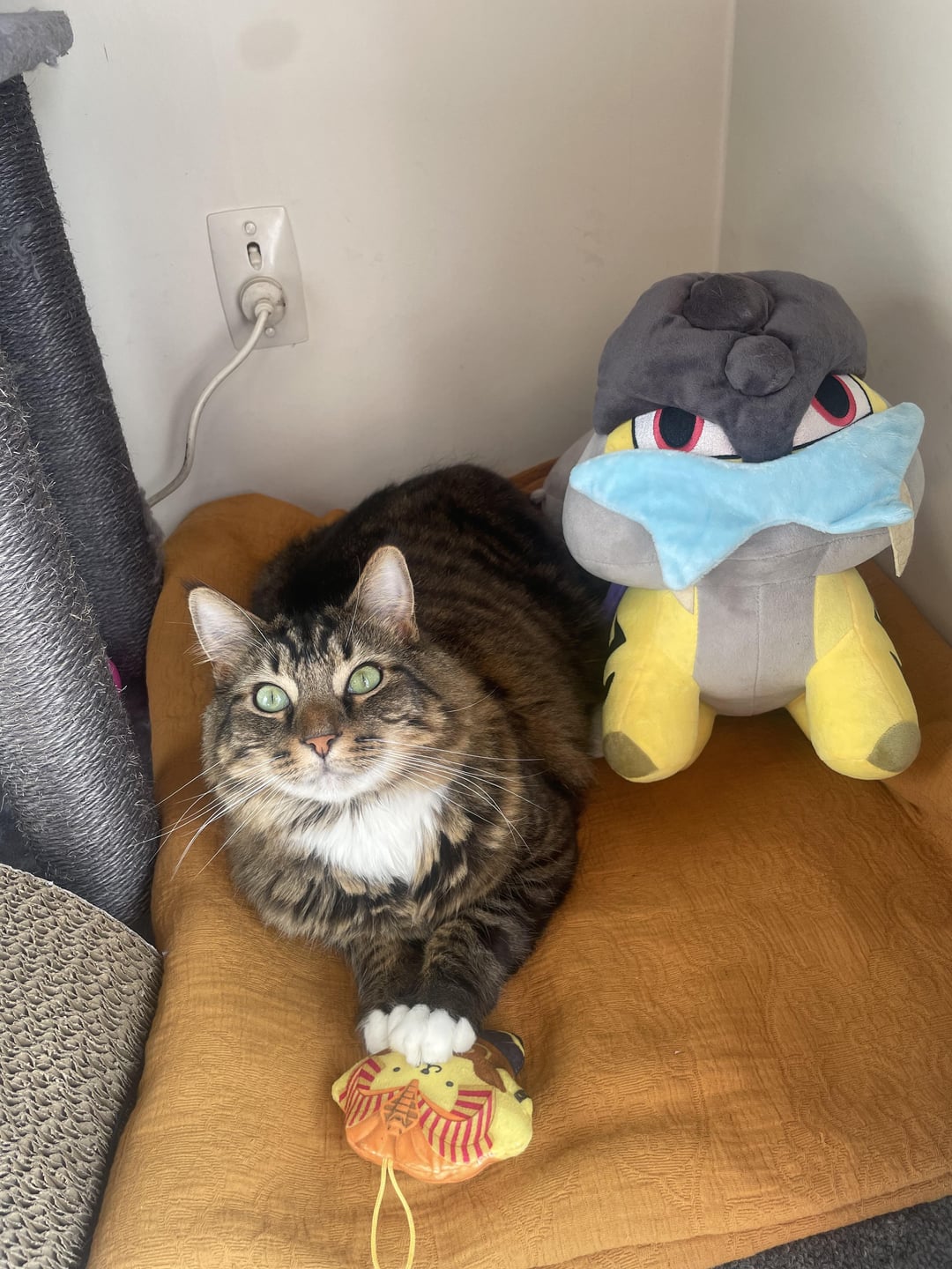 IMG_4851.jpeg