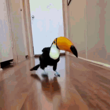 IMG_5599.gif