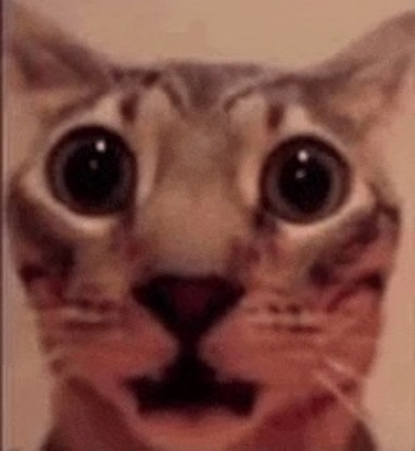 IMG_6096.jpeg