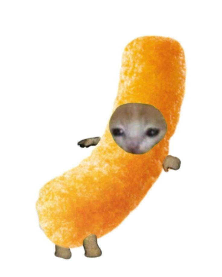 IMG_6908.png