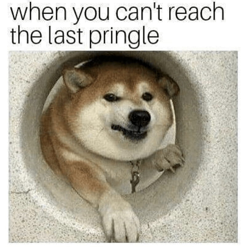 IMG_7438.png