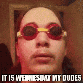 IMG_8337.gif
