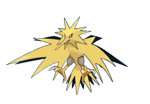 IMG_8834.gif
