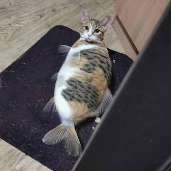indi01.jpg