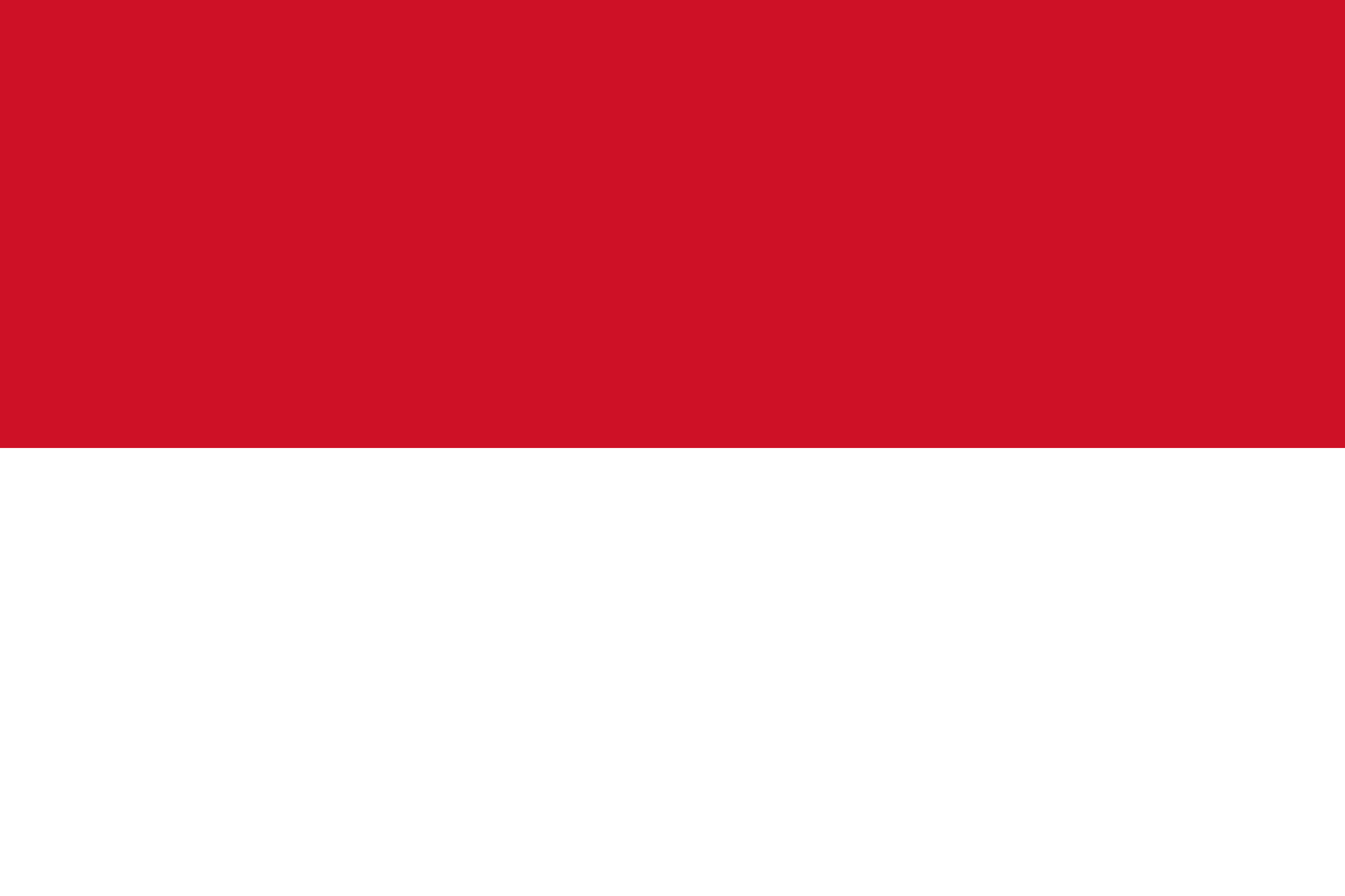 indonesia-flag-xl.png