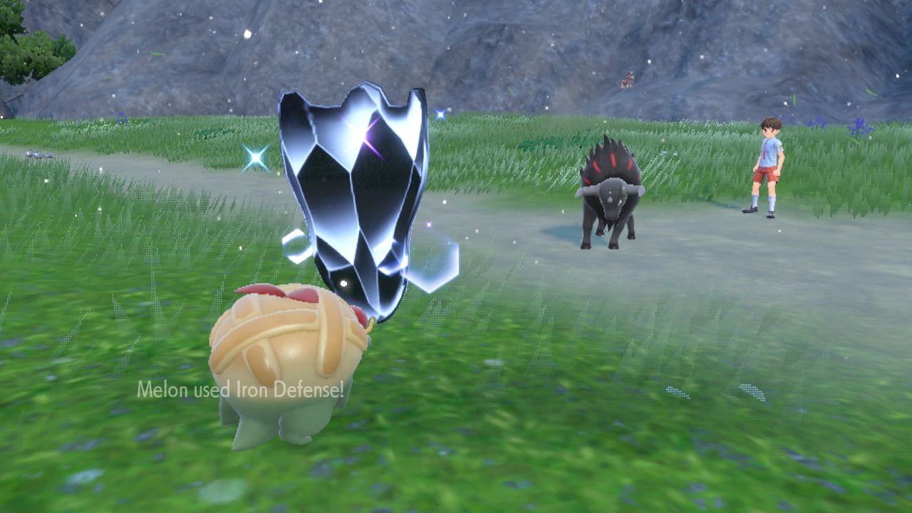 Iron Apple.jpg