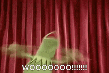 kermit-rage.gif