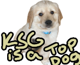 ksgtopdog.png