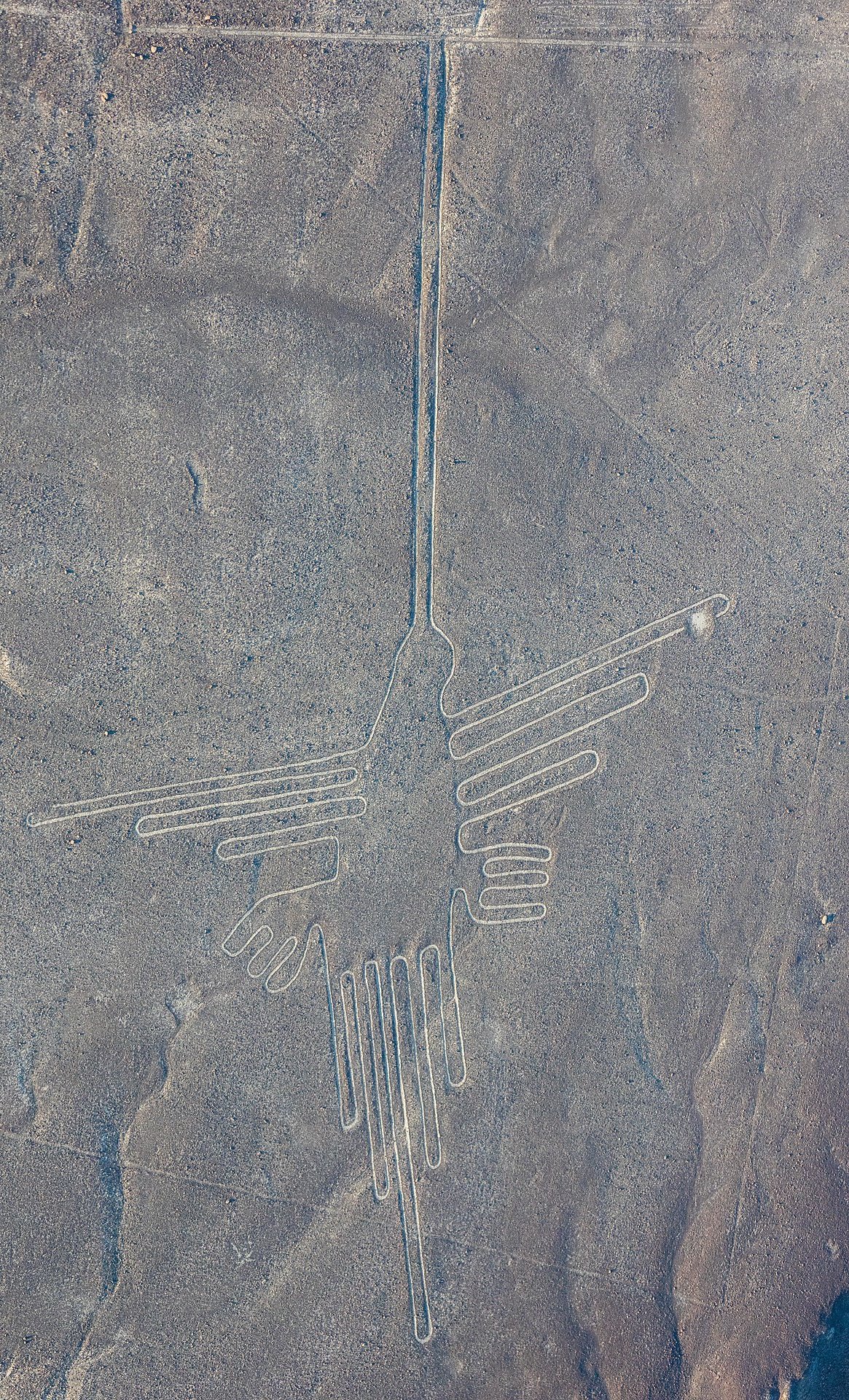 Líneas_de_Nazca,_Nazca,_Perú,_2015-07-29,_DD_52.JPG