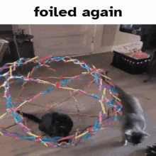 lackadaisy-characters-as-silly-cat-gifs-why-why-not-3-v0-797qewvfyi5c1.gif