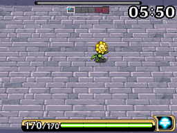 larvitar2.gif