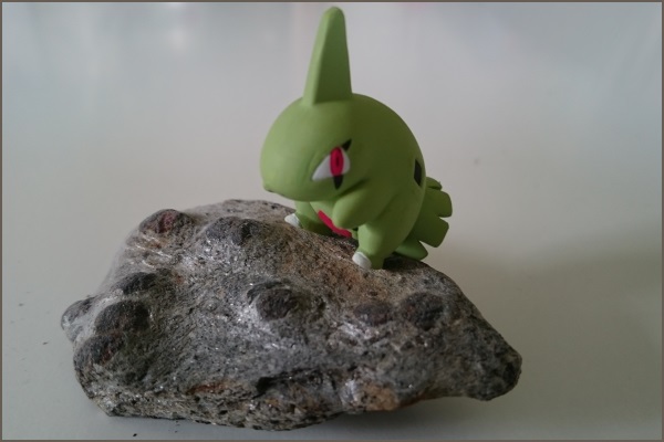 Larvitar5.jpg