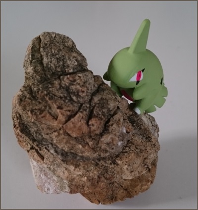 Larvitar8.jpg