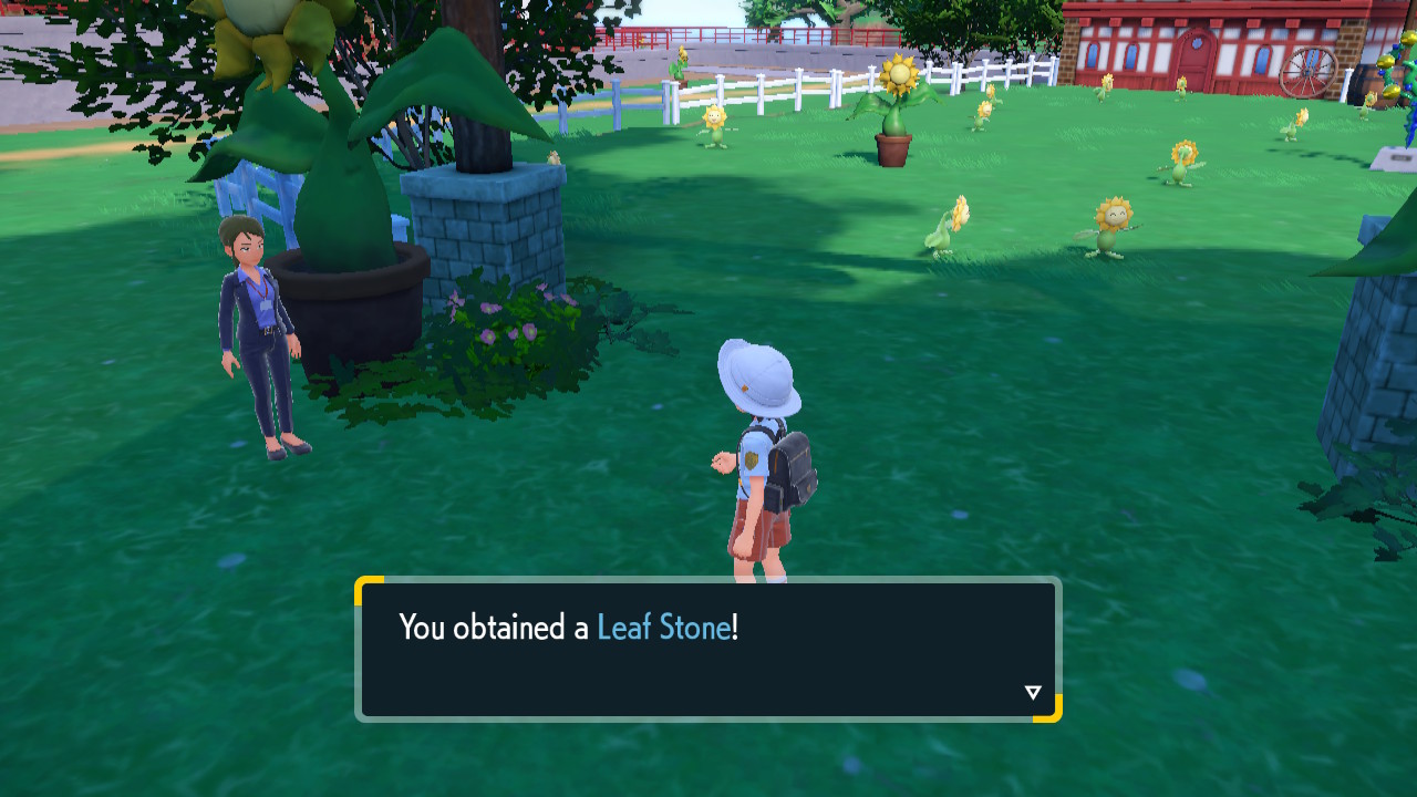 Leaf Stone.jpg