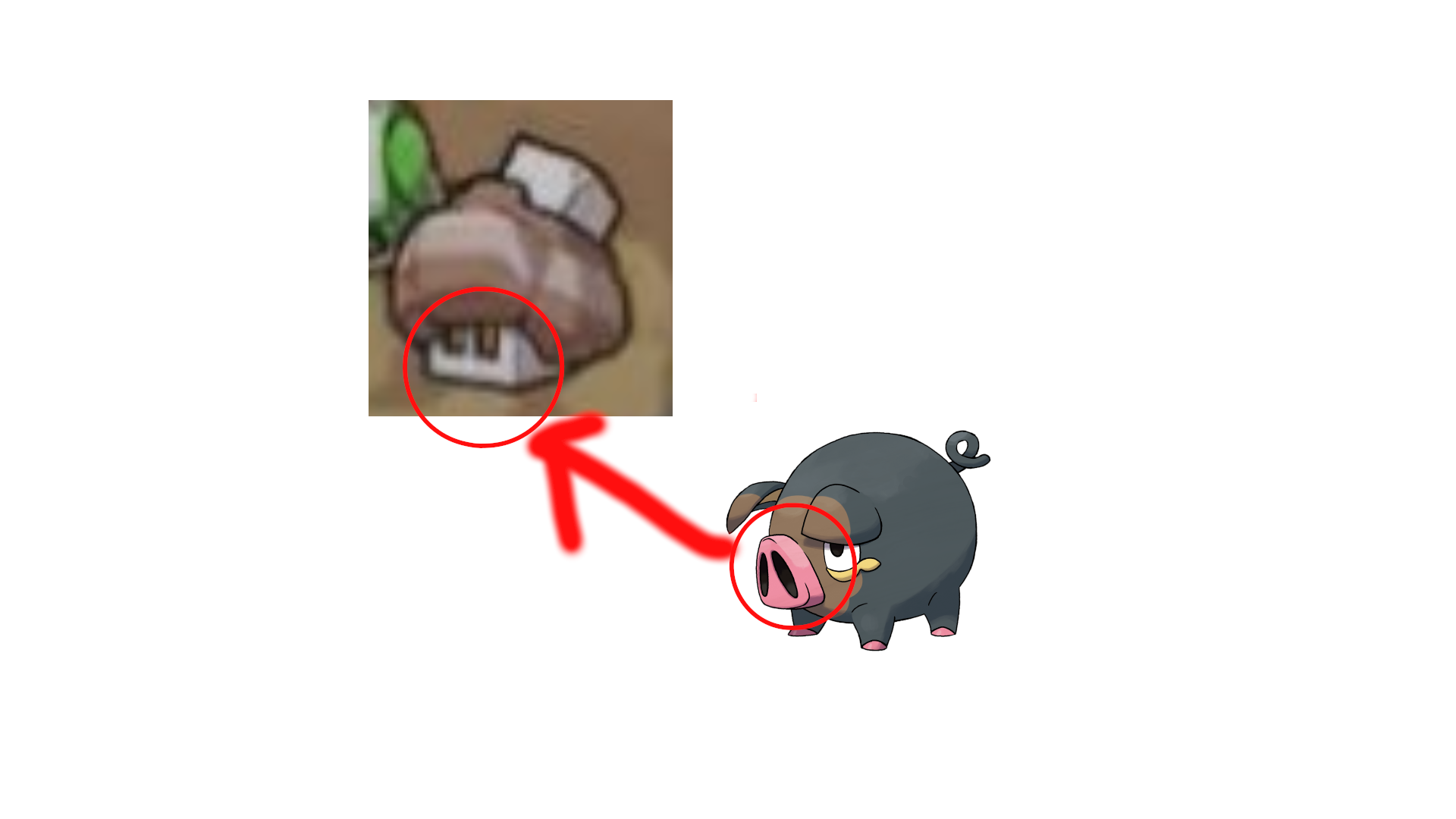 lechonk_evo.png