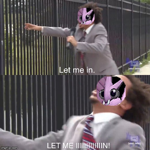 164202