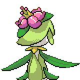 LILLIGANT_1.png