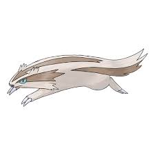 linoone.jpeg
