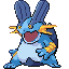 little swampert.png