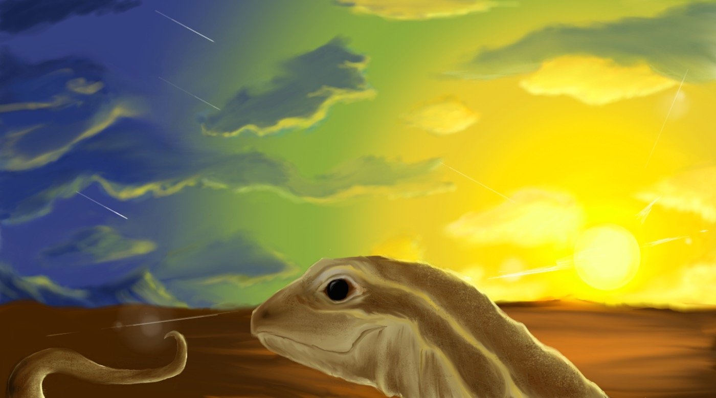 lizard edited2.jpg