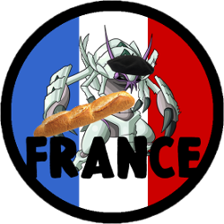 Logo_france_wcup_ru_small.png