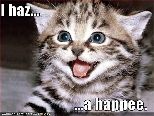 lolcat_twitter.jpg