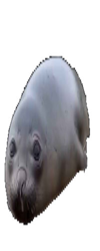 long.png