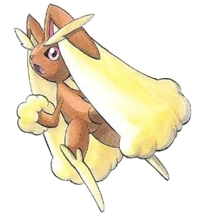 loppy.png