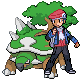Lucas x torterra.png
